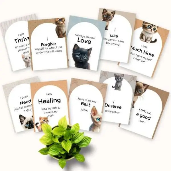 Set of 84 Addiction Recovery Affirmation Cards | Digital Download - Image 6